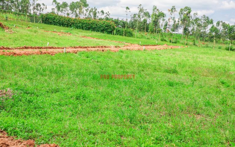 Prime  Residential  Controlled  Plots For Sale In A Gated Community In Kikuyu ,thigio