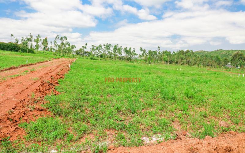 Prime  Residential  Controlled  Plots For Sale In A Gated Community In Kikuyu ,thigio