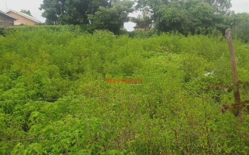 Commercial Plots For Sale Lusingetti