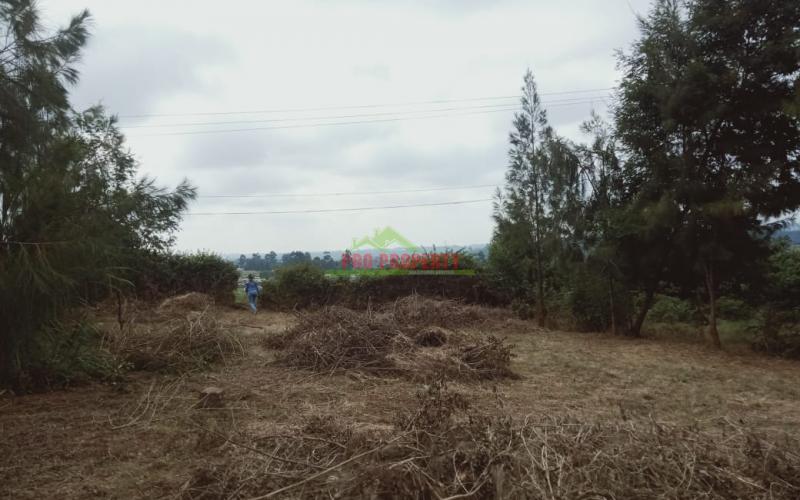 Prime 50 By 100ft Plots For Sale In Kamangu, Kikuyu