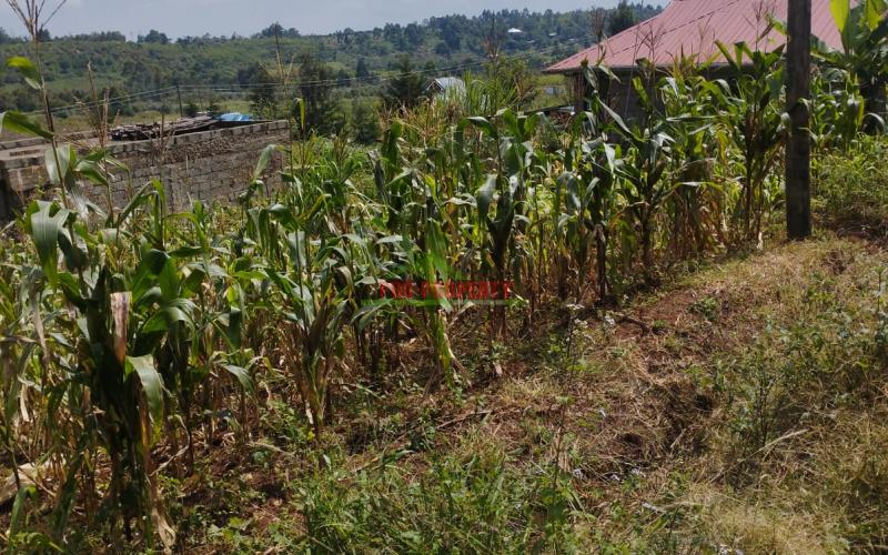 100by100ft prime residential plot for sale in Kikuyu- ndiguini
