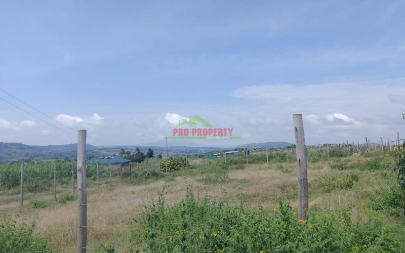 Prime 100 × 100 Plots For Sale