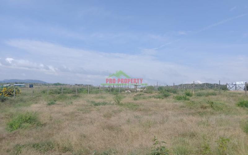Prime 100 × 100 Plots For Sale