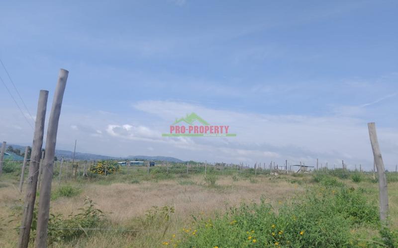 Prime 100 × 100 plots for sale