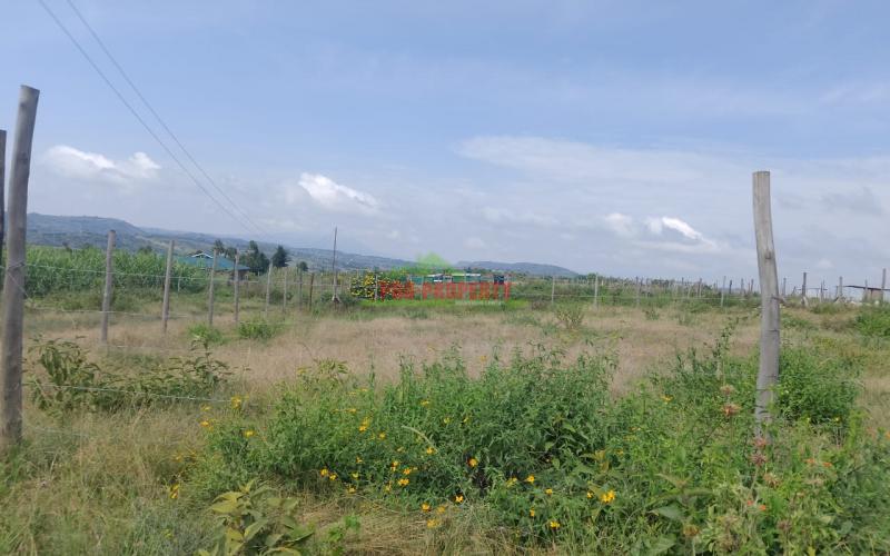 Prime 100 × 100 Plots For Sale