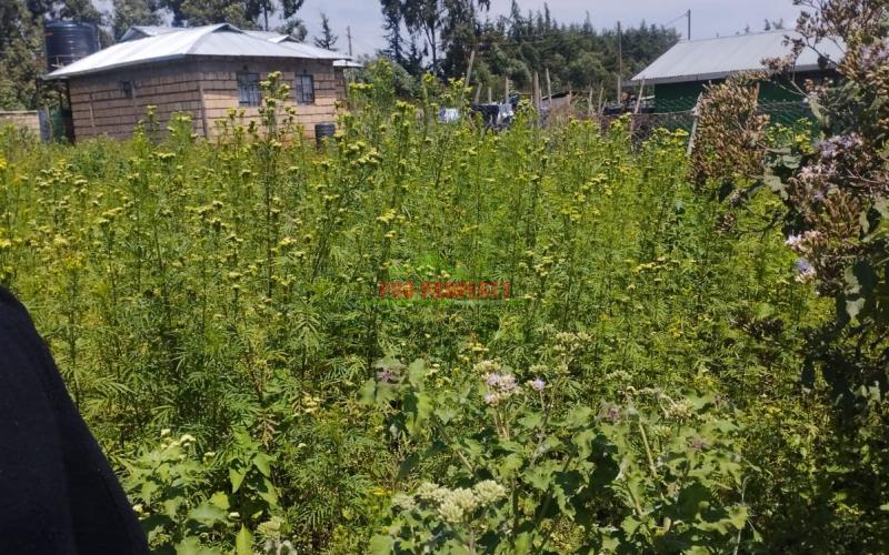 Prime 50by100 Residential Plot For Sale In Kikuyu-ngamba