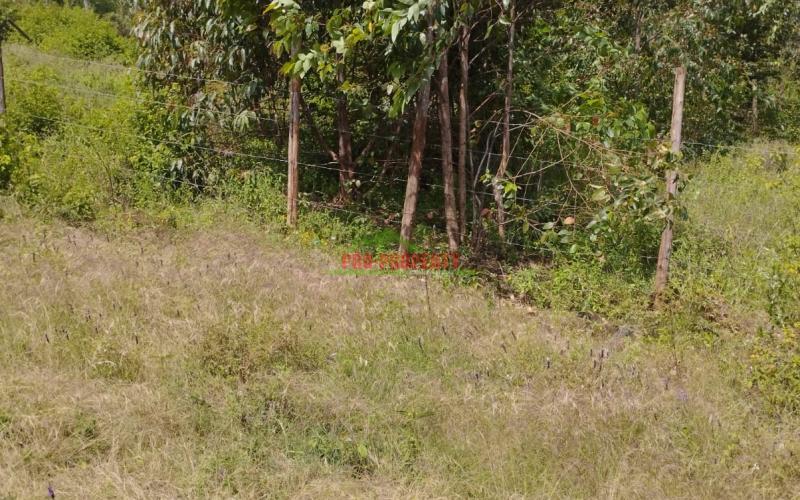 50by100 Prime Residential Plot For Sale In Kikuyu - Nachu