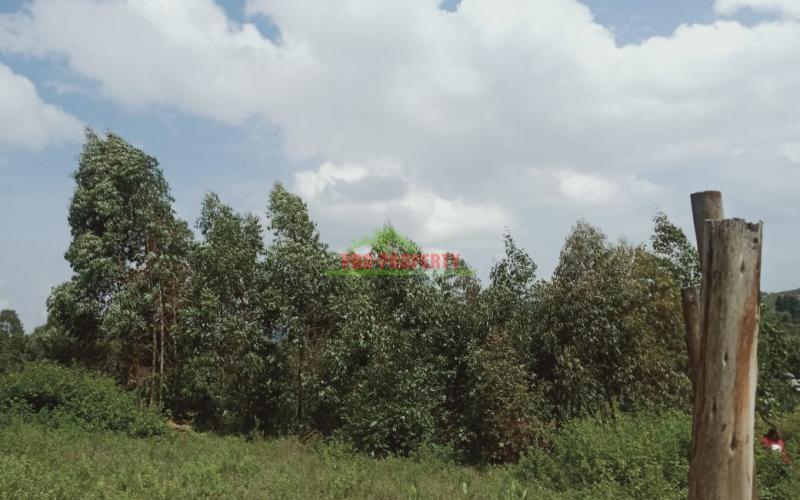 Prime Residential Plot In Kikuyu, Nachu