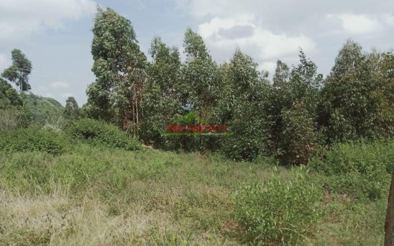 Prime Residential Plot In Kikuyu, Nachu
