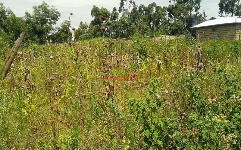 Prime Residential Plot In Kikuyu, Kamangu