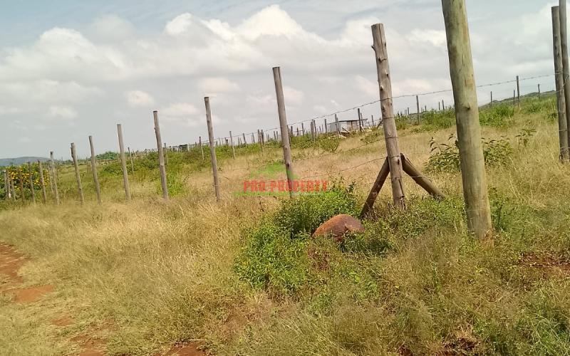 Prime Residential Plots For Sale In Kikuyu,nachu Area