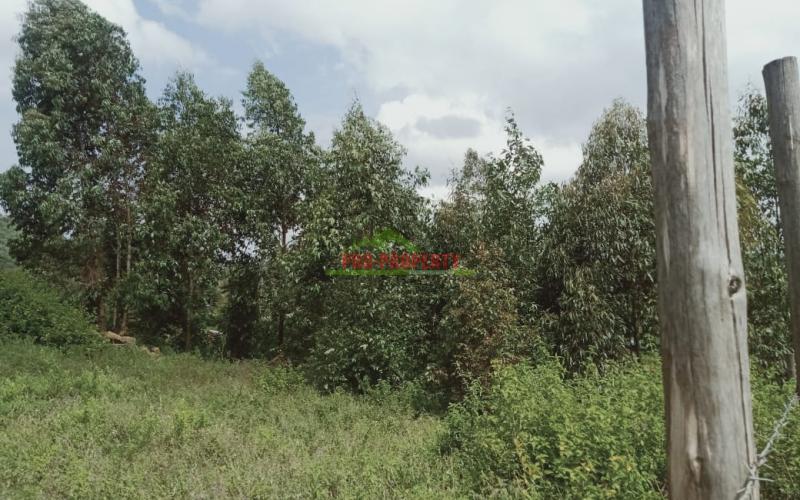 Prime Residential Plots For Sale In Kikuyu Nachu
