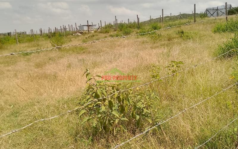 Prime Plot For Sale 100 By 100