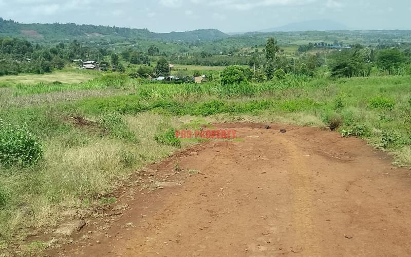 Prime Plot For Sale 100 By 100