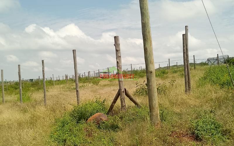 Prime Plot For Sale 100 By 100