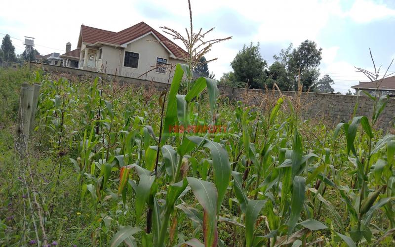 Prime 50 × 100 Plots For Sale In Gikambura