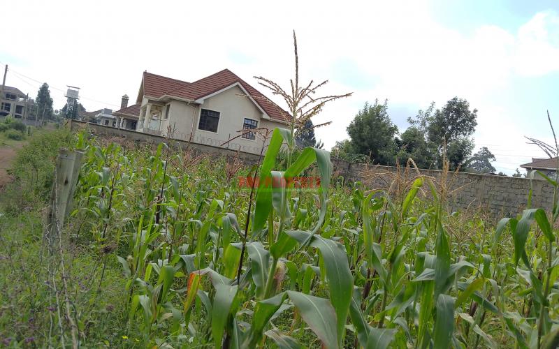 Prime 50 × 100 Plots For Sale In Gikambura