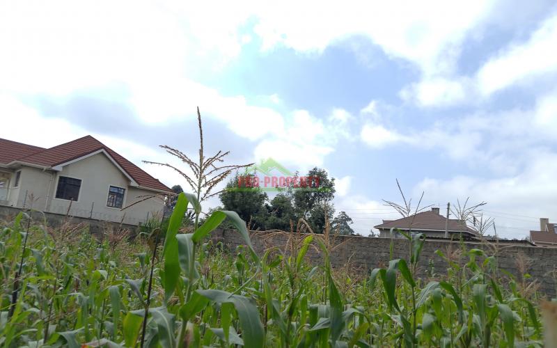 Prime 50 × 100 plots for sale in Gikambura