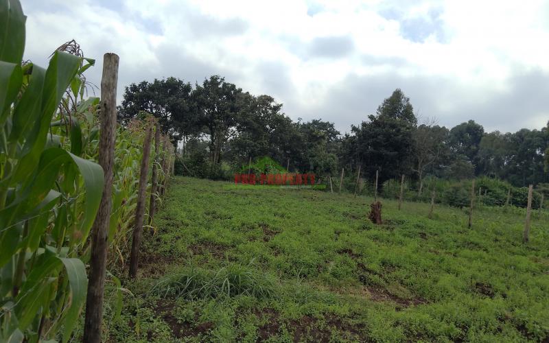 Prime 50 × 100  residential plots for sale along southern bypass