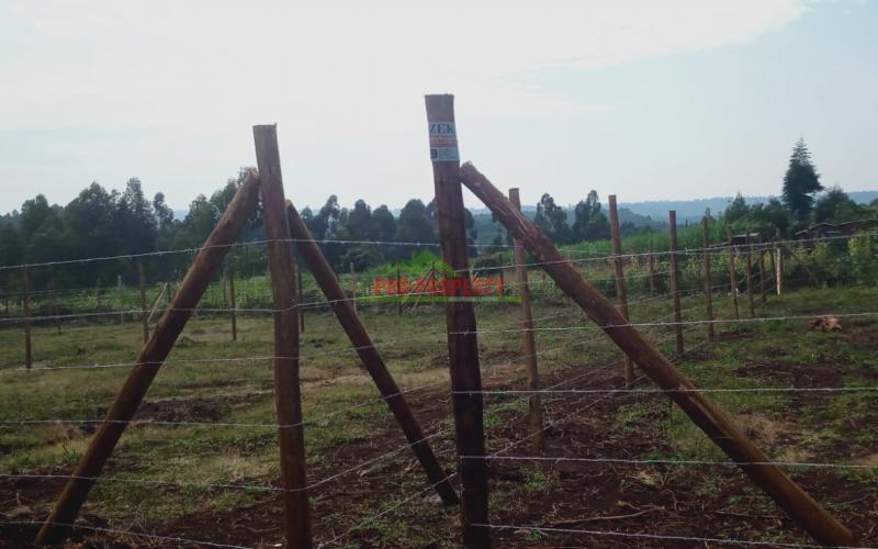 Prime 50 By 100 Ft Residential Plots For Sale In Kikuyu, Thigio
