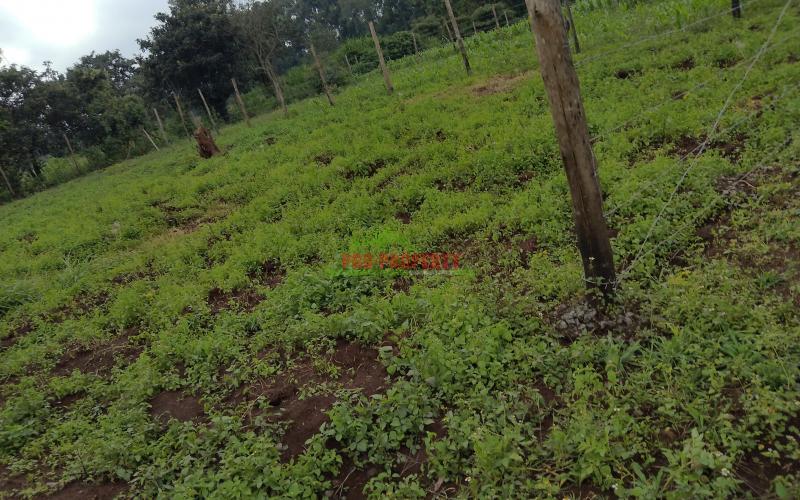 Prime 50 × 100  Residential Plots For Sale Along Southern Bypass