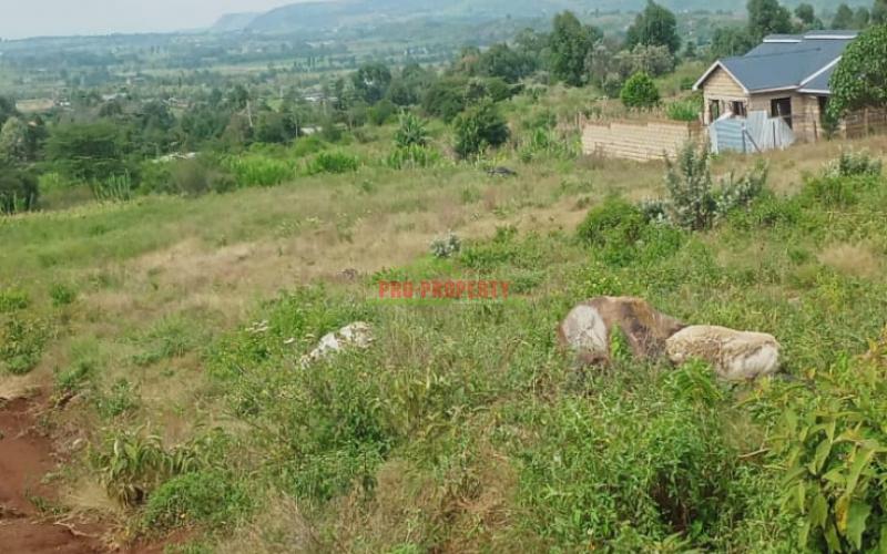 Prime Residential Plots For Sale In Kikuyu,nachu