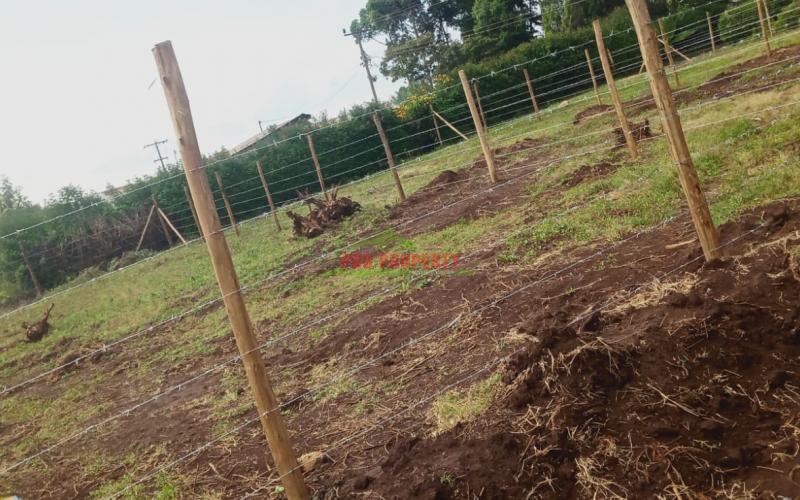 Prime 50 By 100 Ft Residential Plots For Sale In Kikuyu, Thigio