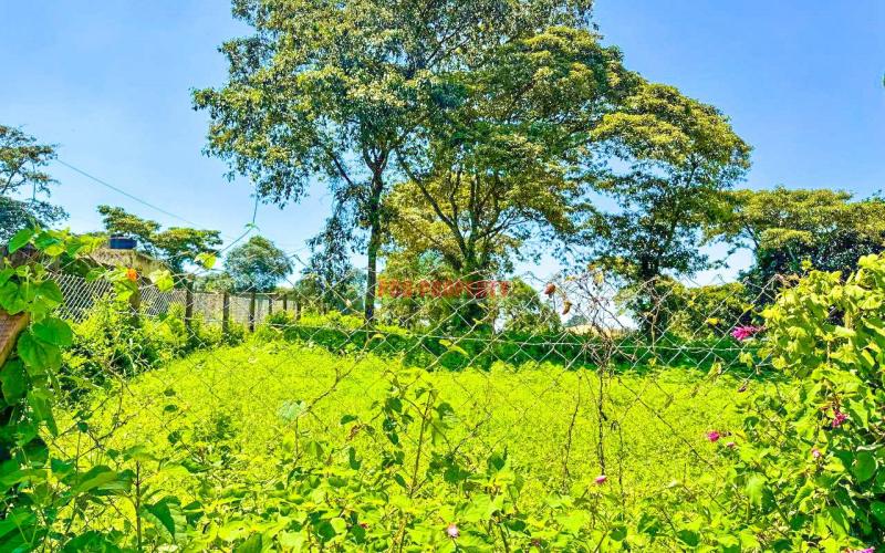 Prime 50*100ft Residential plot for sale in kikuyu Ondiri