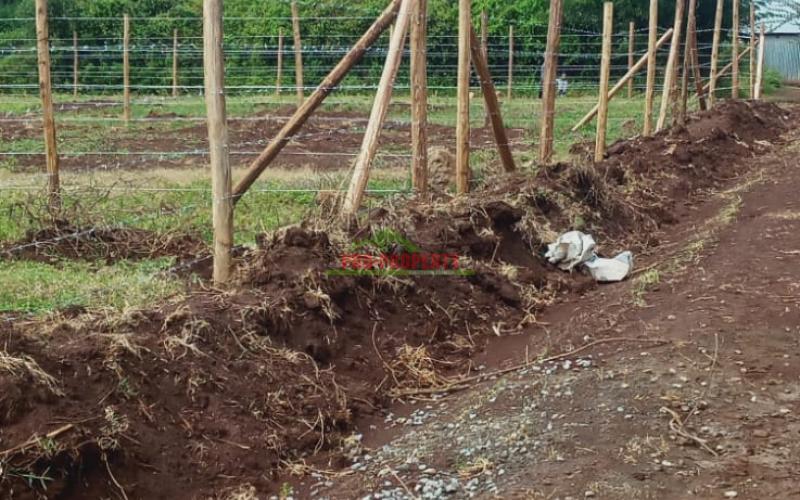 Prime 50 By 100 Ft Residential Plots For Sale In Kikuyu, Thigio