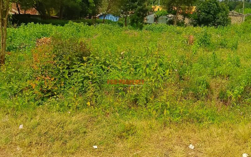 Prime 50 By 100 Commercial Plot For Sale In Kikuyu, Migumoini