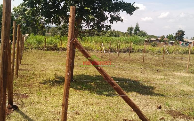 Prime Residential 100 By 100 Plot For Sale