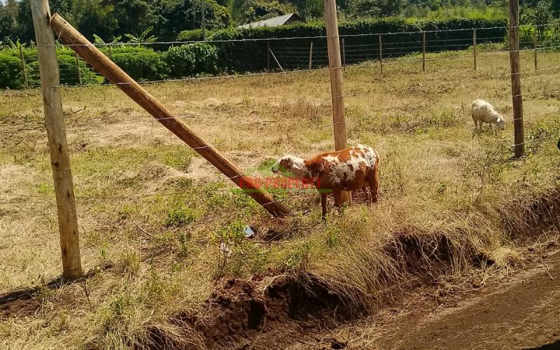 Prime Residential 100 By 100 Plot For Sale