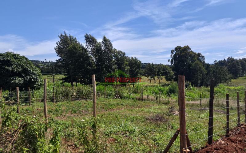 Prime Residential  50 × 100 Plot For Sale In Kamangu