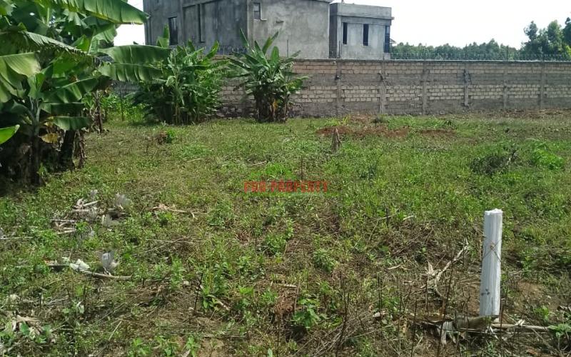 Prime Residential 50 By 100 Plot Sale