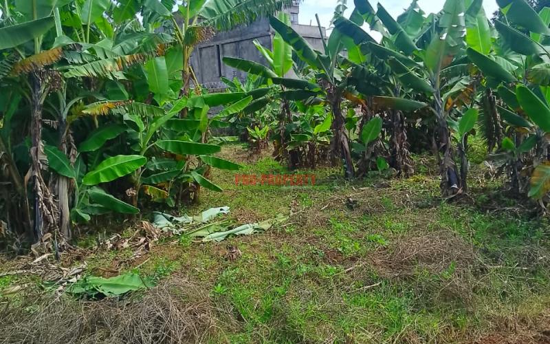 Prime Residential 50 By 100 Plot Sale