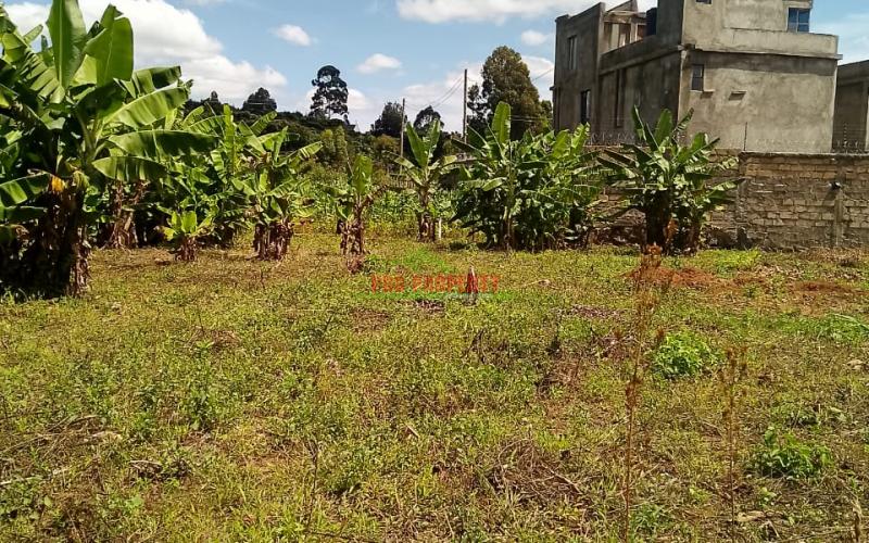 Prime Residential 50 By 100 Plot Sale