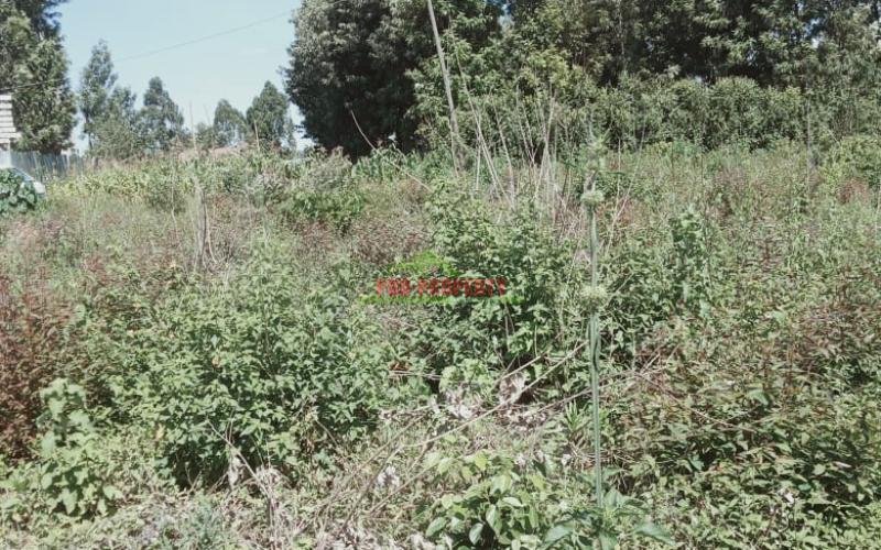 Prime Residential 50 By 100 Plot For Sale