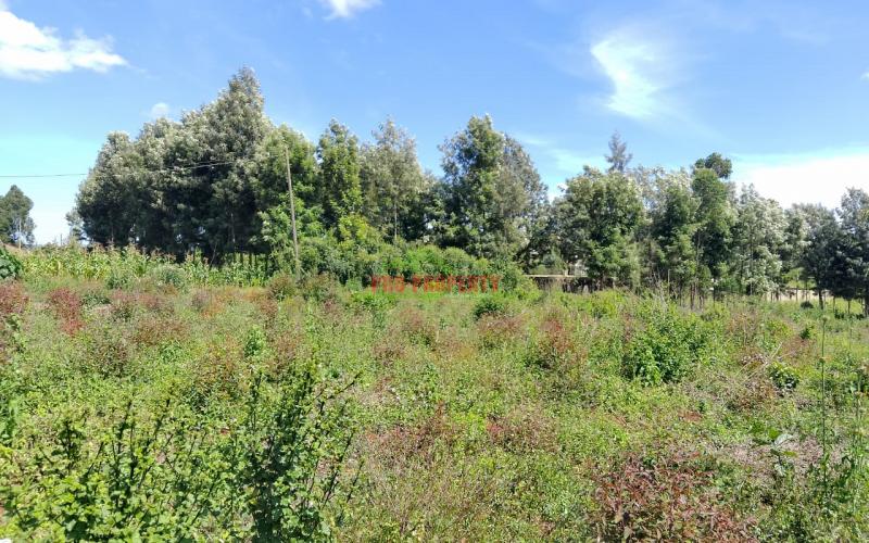 Prime residential 50 × 100 plot for sale along Ondiri road