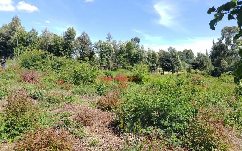 Prime Residential 50 × 100 Plot For Sale Along Ondiri Road