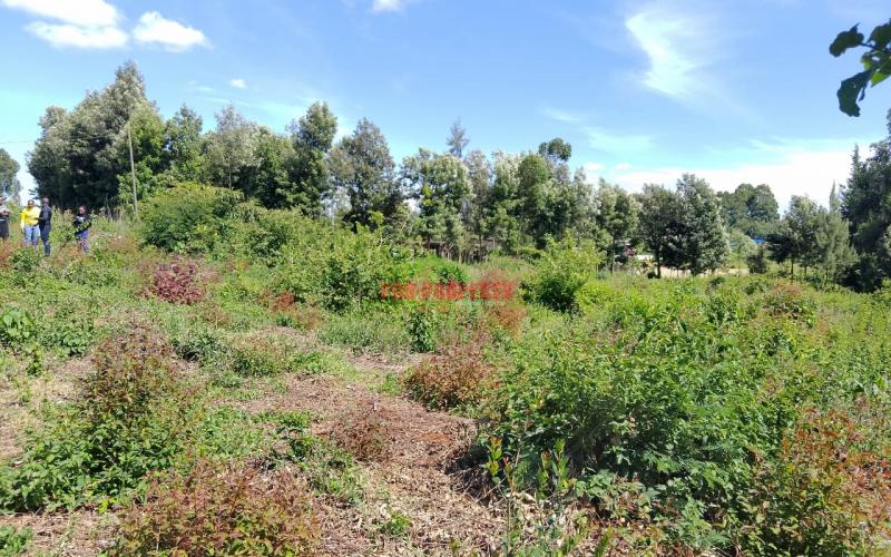 Prime Residential 50 × 100 Plot For Sale Along Ondiri Road