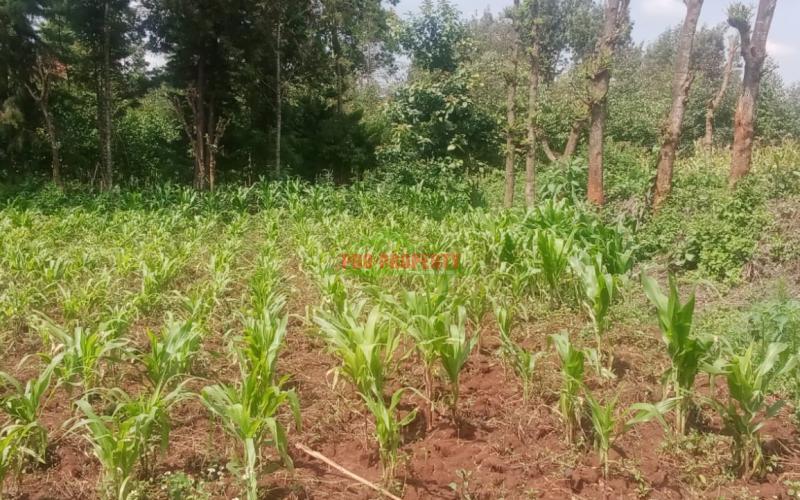 Prime 100 By 100 Ft Residential Plot For Sale In Kikuyu,ondiri