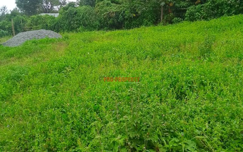 Prime Residential 50 By 100 Plot For Sale