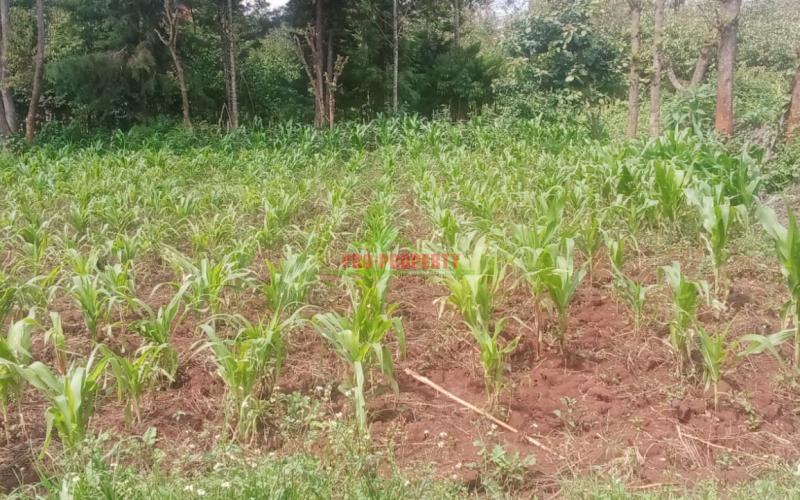 Prime 100 By 100 Ft Residential Plot For Sale In Kikuyu,ondiri