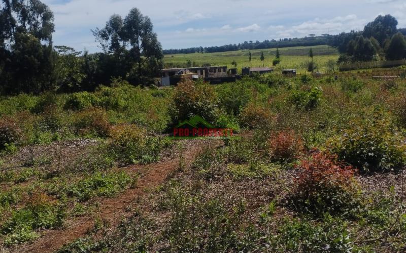 Prime 50 By 100 Residential Plots For Sale In Kikuyu Ondiri