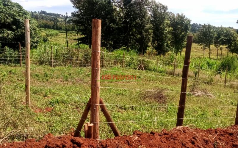 Prime 50 By 100ft Plot For Sale In Kikuyu,ng'amba