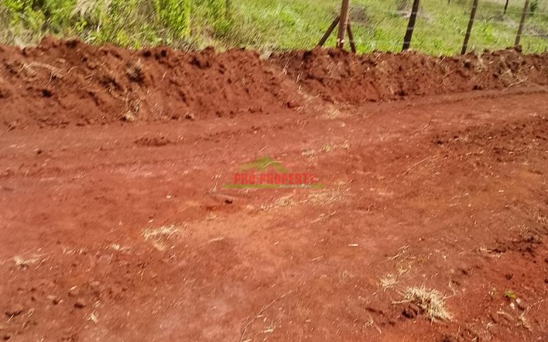 Prime 50 By 100 Plot For Sale In Kikuyu,kamangu
