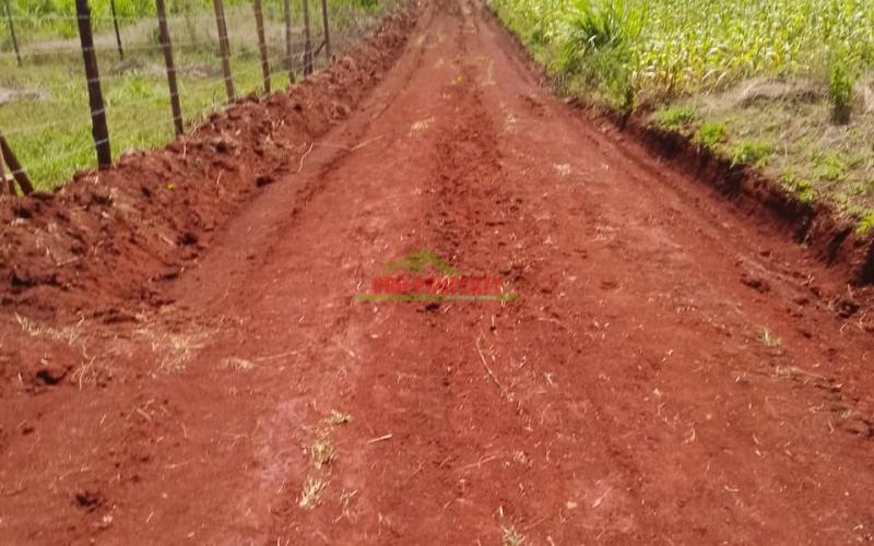 Prime 50 By 100 Plot For Sale In Kikuyu,kamangu