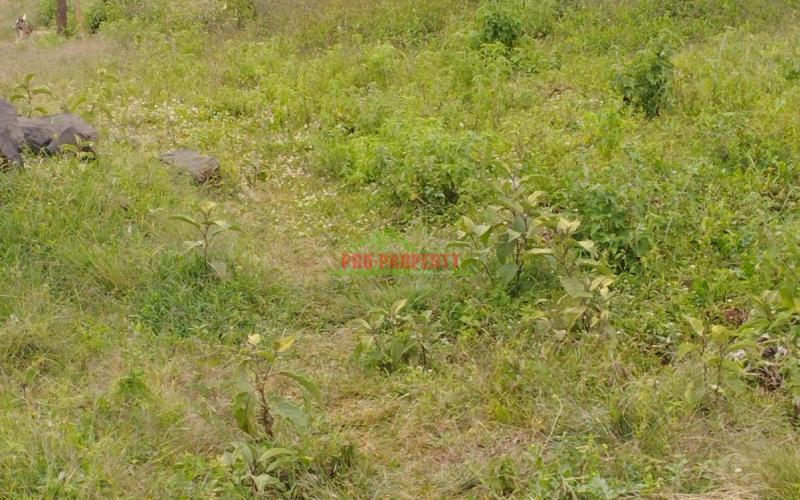 A Prime 50by100ft Plot For Sale In Kikuyu -kamangu