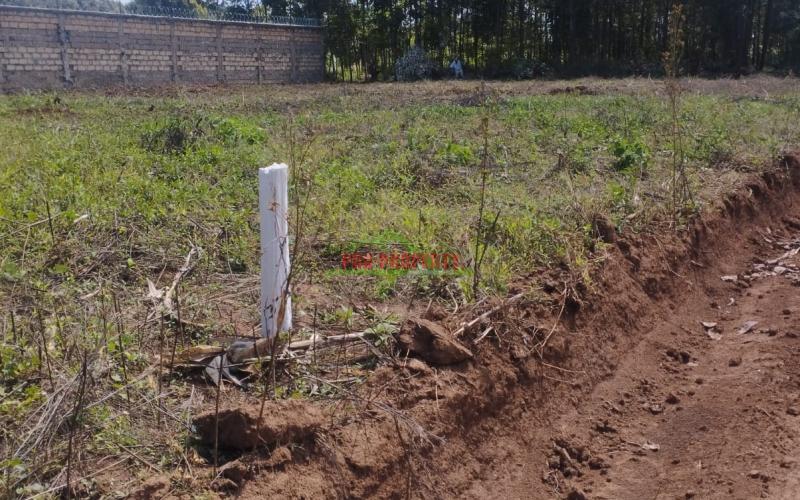 Prime 50 By 100 Ft Residential Plots For Sale In Kikuyu-lusigetti
