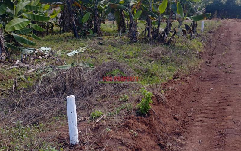 Prime 50 By 100 Ft Residential Plots For Sale In Kikuyu-lusigetti